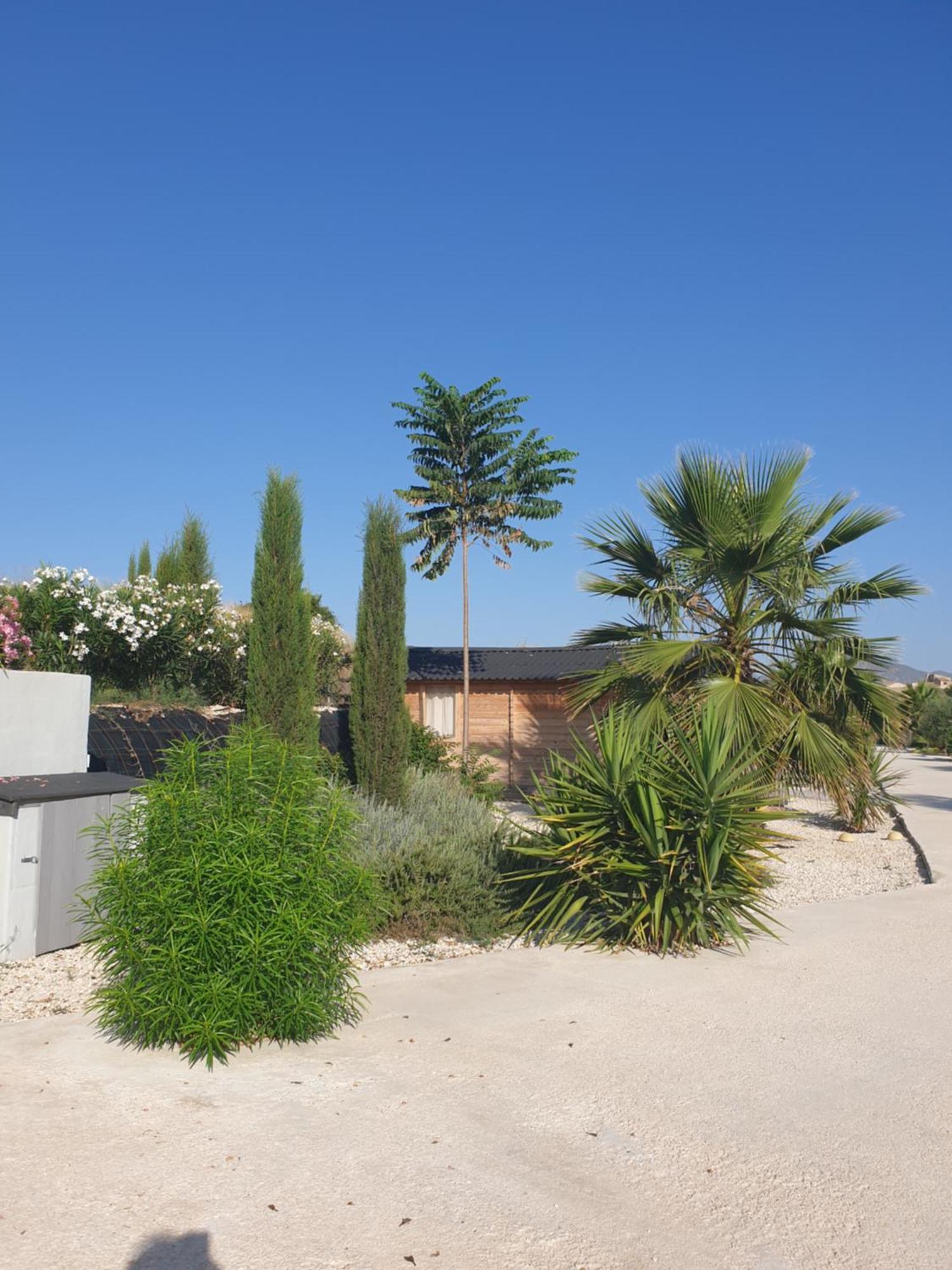 Casa De La Vida Liebetruth A Villa Aspe Exterior foto